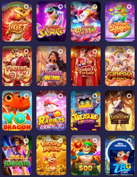 Membros do programa VIP desfrutando de promoções exclusivas